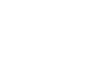 vise group logo